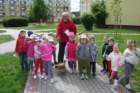 dsc07908_small.jpg